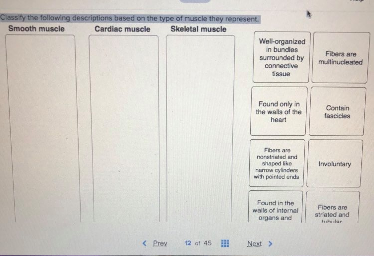 Solved Classify the following descriptions based o the type