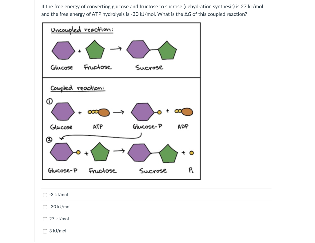 If the free energy of converting glucose and fructose to sucrose (dehydration synthesis) is \( 27 \mathrm{~kJ} / \mathrm{mol}