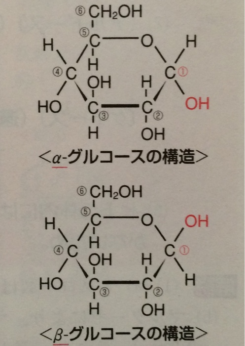 化学 分子量 Flashcards Chegg Com
