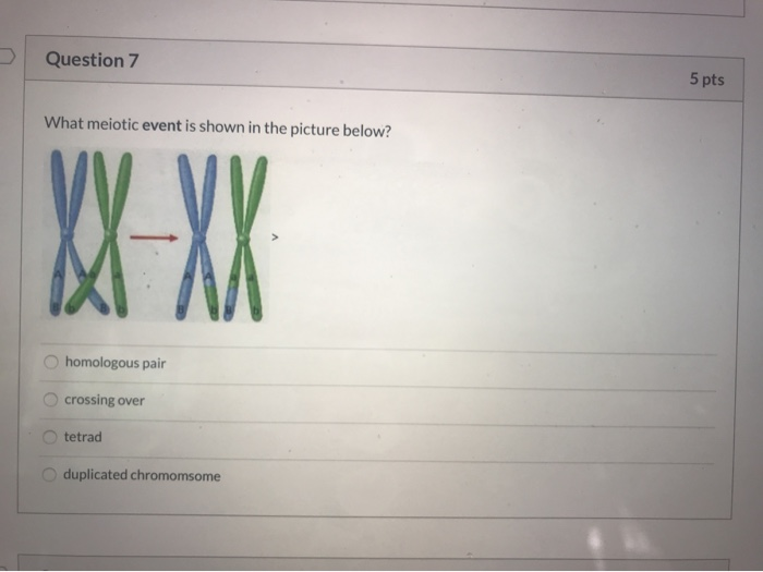 Solved Question 7 5 pts What meiotic event is shown in the | Chegg.com