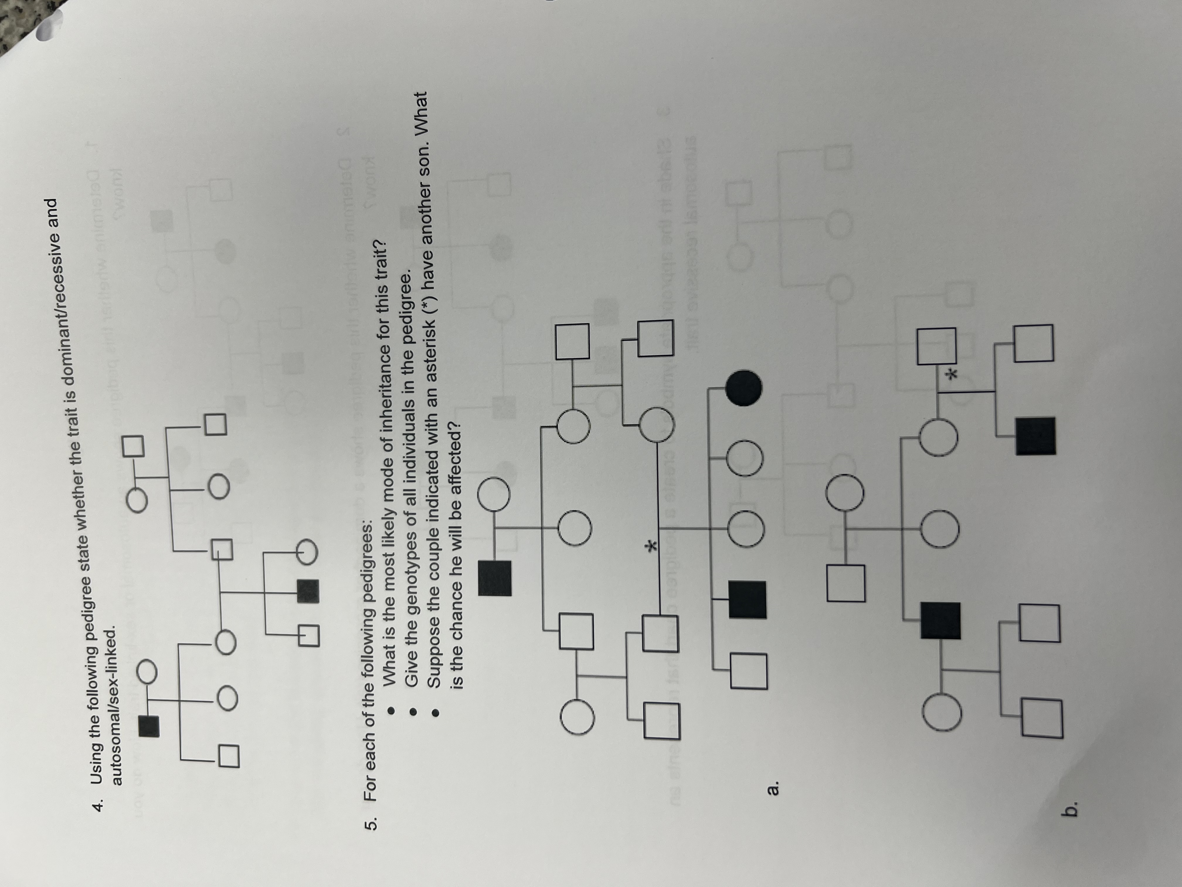 Solved Using the following pedigree state whether the trait | Chegg.com