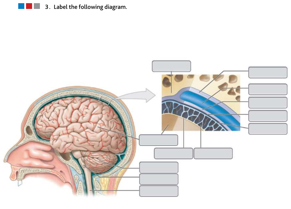 Solved 3. Label the following diagram. | Chegg.com