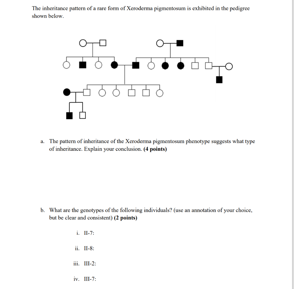 Solved The Inheritance Pattern Of A Rare Form Of Xeroderma 