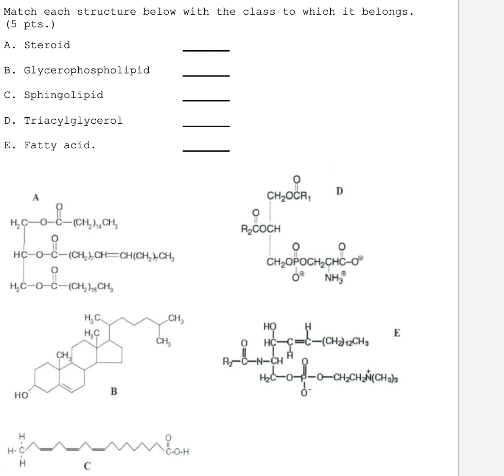 Solved Match each structure below with the class to which it | Chegg.com
