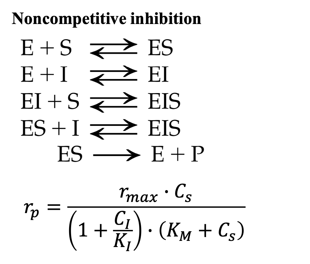 Solved I want the deviation of the noncompetitive enzyme and | Chegg.com