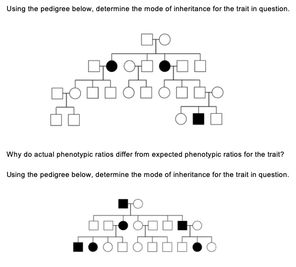 Solved Using the pedigree below, determine the mode of | Chegg.com