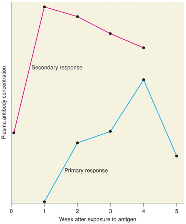 Solved Refer to page 5 on lecture 12 (Specific Immunity). | Chegg.com