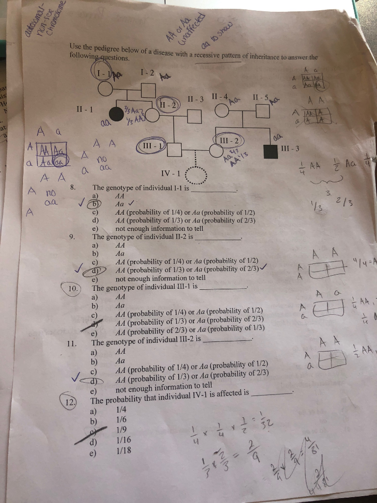 Solved Please help solve number 10 and 12 for this pedigree | Chegg.com