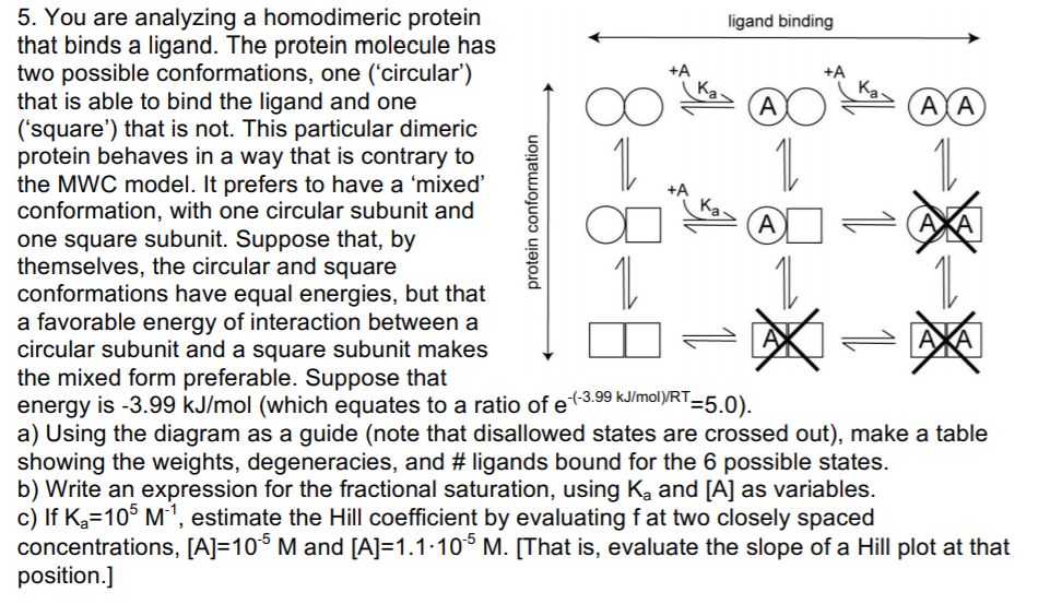 5. You are analyzing a homodimeric protein that binds | Chegg.com