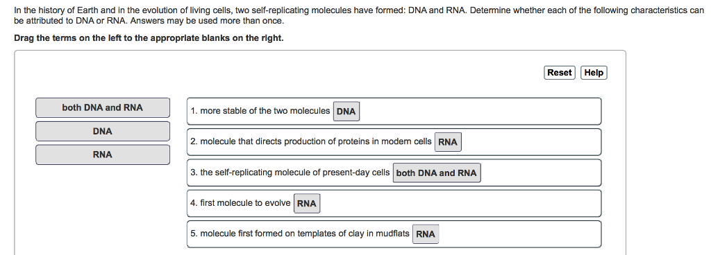 Dna homework help us history