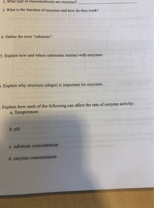 Solved 2. What type of macromolecule are enzymes? 3. What is Chegg