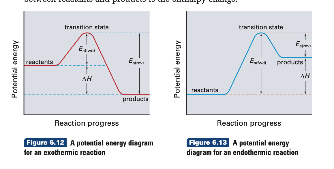 activation energy graph endothermic