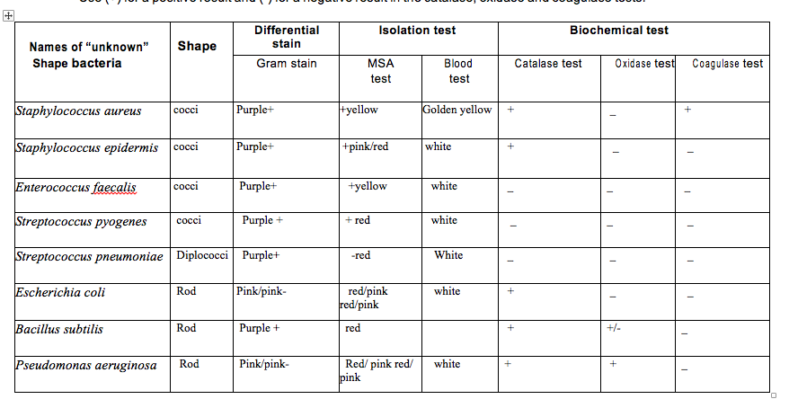 Isolation Test Biochemical Test Names Of Unknown Chegg Com