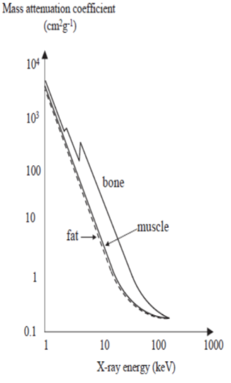 Solved Figure Below shows the mass attenuation | Chegg.com