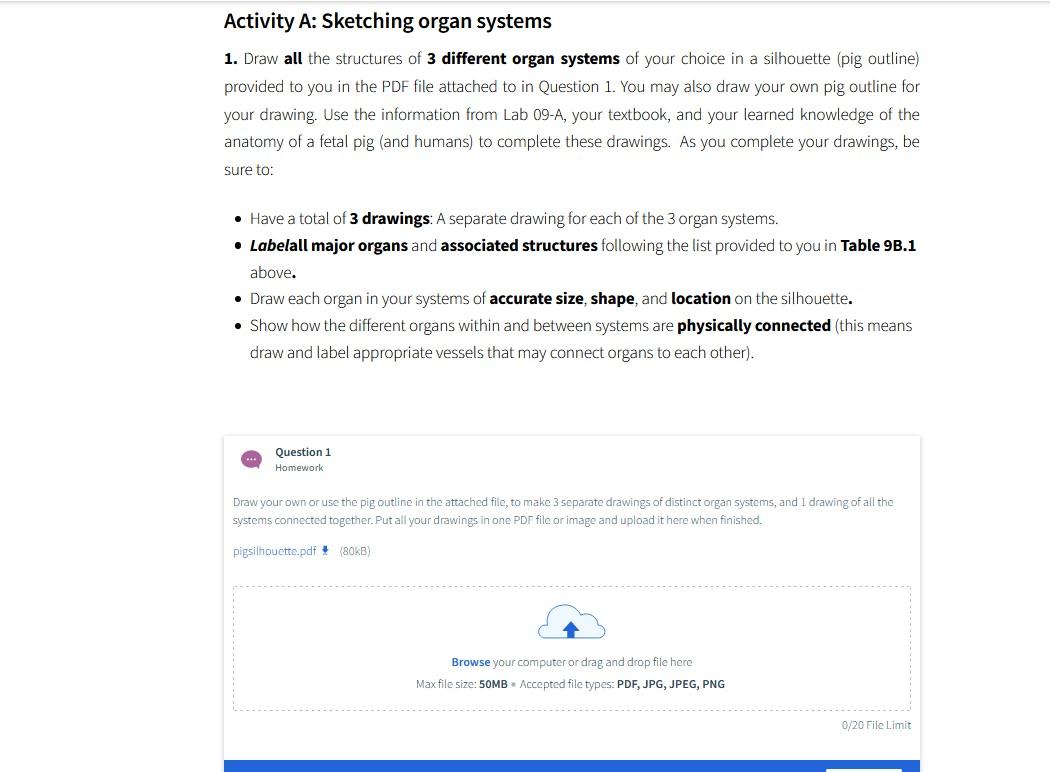 Activity A: Sketching organ systems 1. Draw all the structures of 3 different organ systems of your choice in a silhouette (p