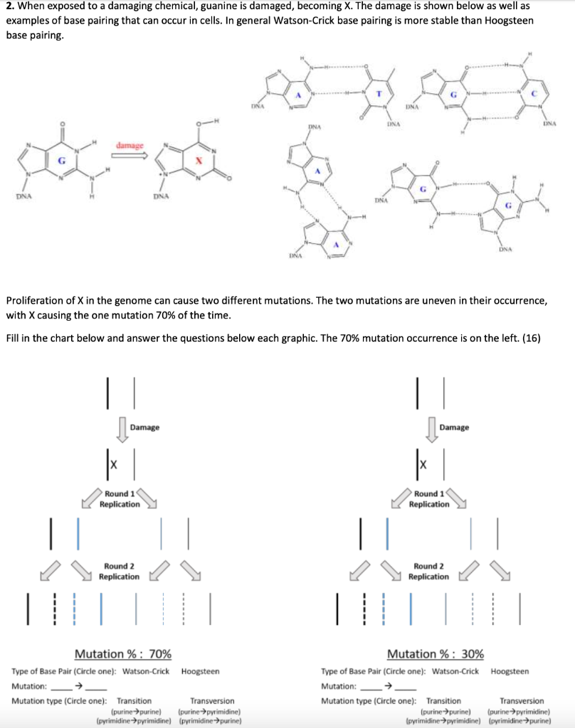 Solved 2. When exposed to a damaging chemical, guanine is | Chegg.com