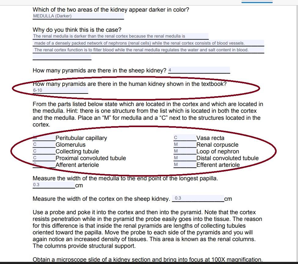 Solved Hello can you pls help me solve the circled ones. | Chegg.com