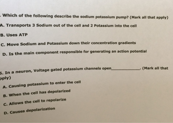 Solved Which of the following describe the sodium potassium | Chegg.com
