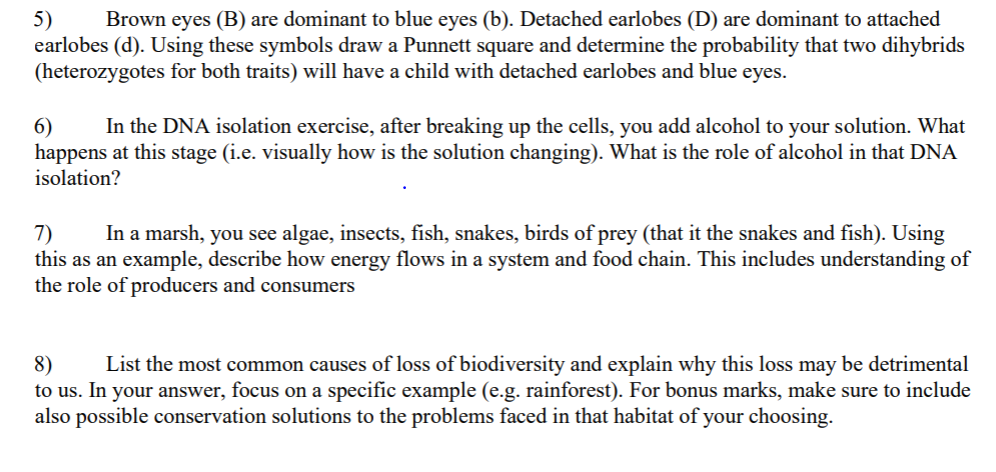 Solved 5) Brown Eyes (B) Are Dominant To Blue Eyes (b). | Chegg.com