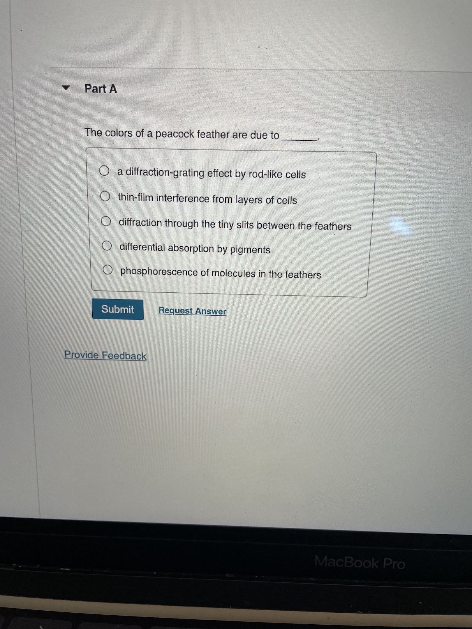 Solved The colors of a peacock feather are due to a