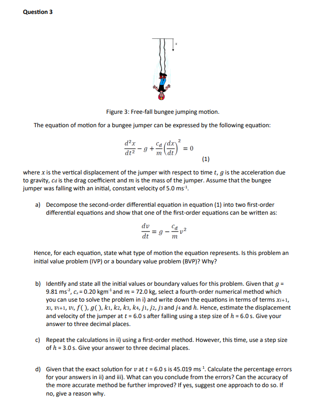 Solved Figure 3: Free-fall Bungee Jumping Motion. The | Chegg.com