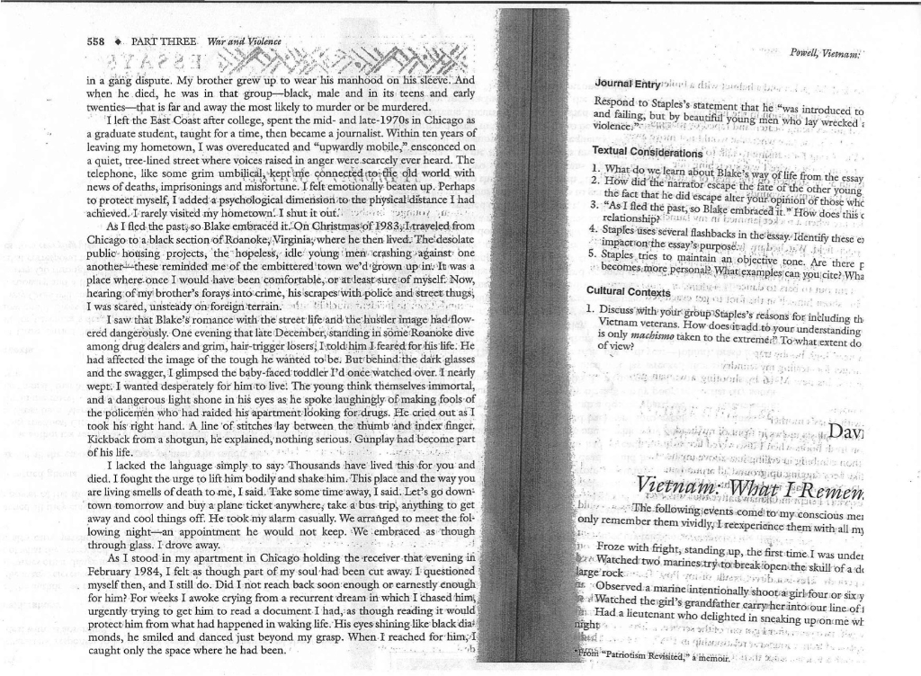 A brothers murder brent staples essayhtml