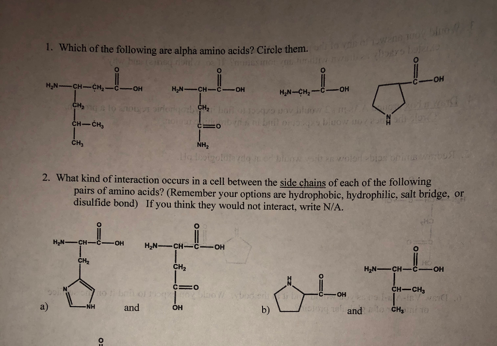 Solved 1. Which of the following are alpha amino acids?