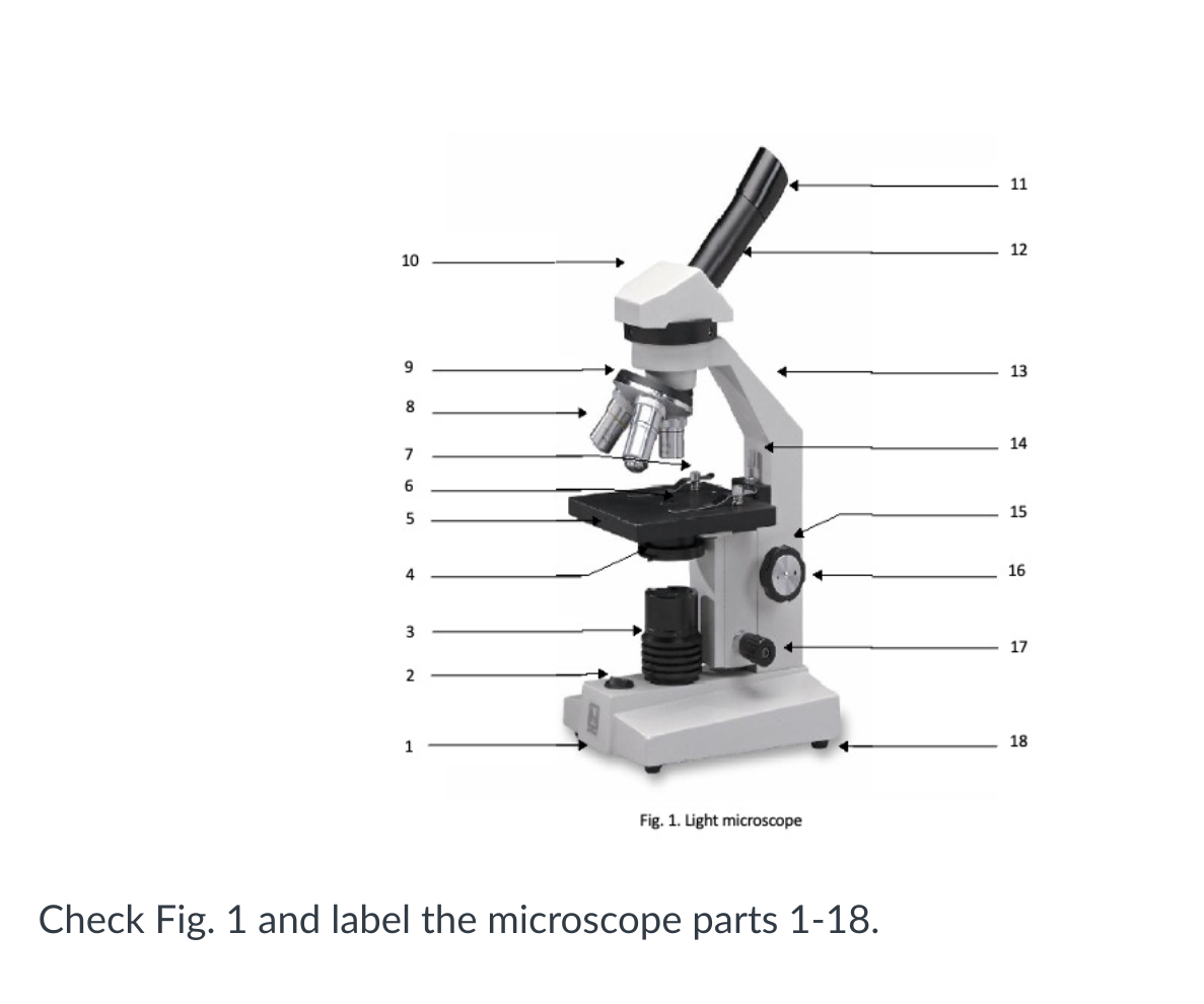 Solved Check Fig 1 And Label The Microscope Parts 1 18 Chegg