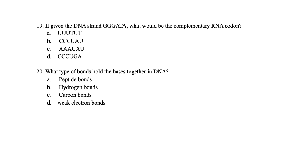 Solved 11. After the mRNA molecule is made, where will it | Chegg.com