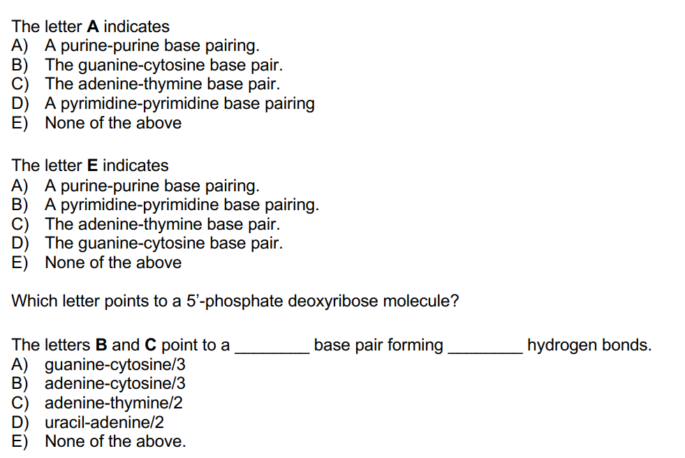 Solved Study the structure of the DNA molecule, then answer | Chegg.com