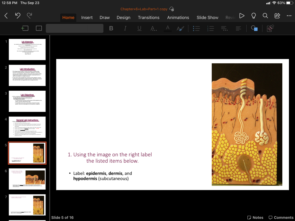 Solved 12:58 PM Thu Sep 23 il 63% Chapter+6+Lab+Part+1 copy | Chegg.com