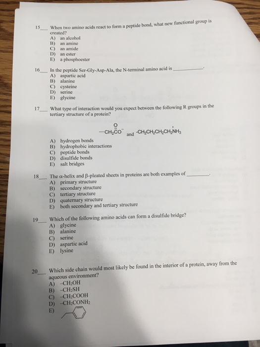 Solved o When several amino acids are connected together,