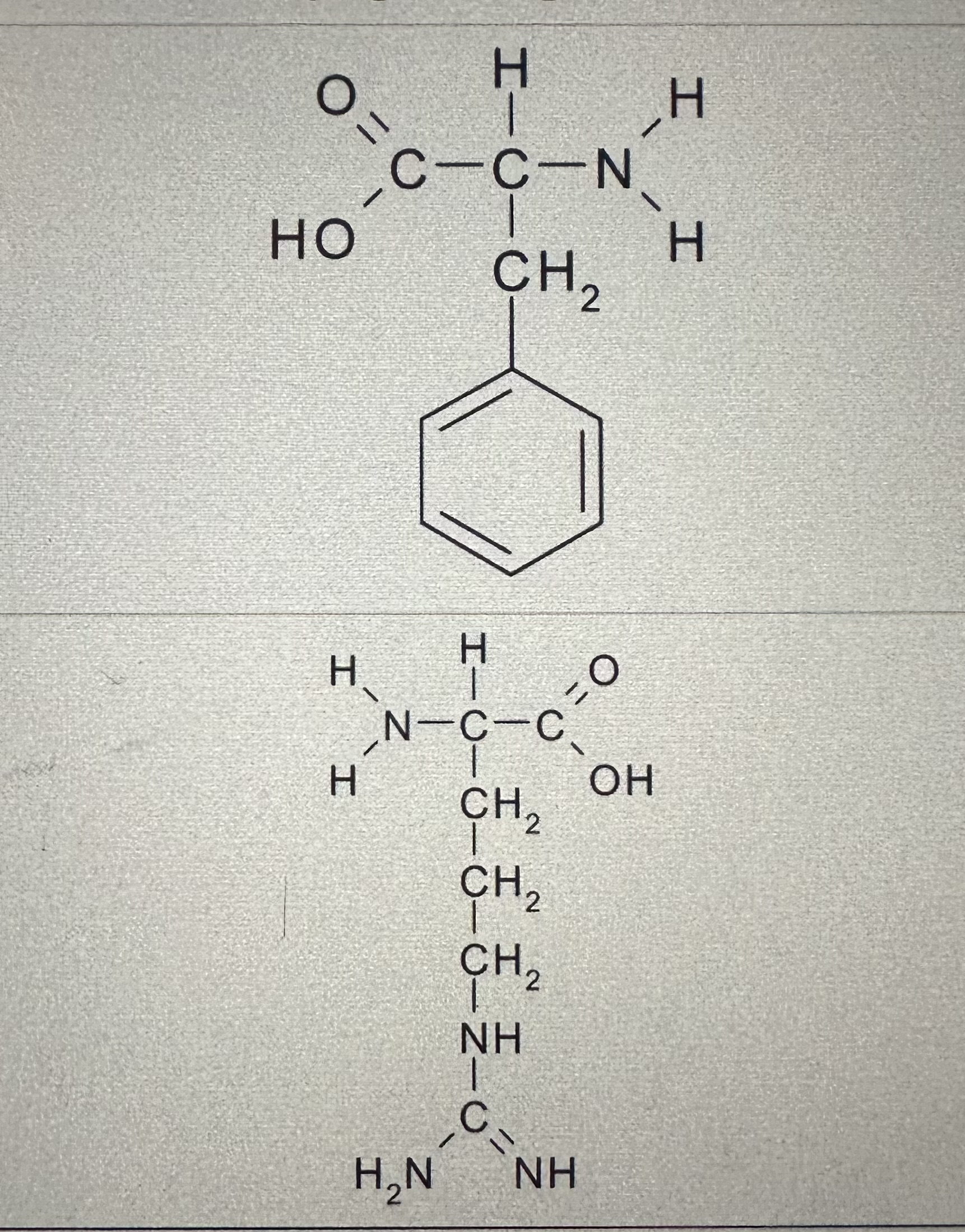 Solved Question 11 For each of the amino acids listed below, | Chegg.com