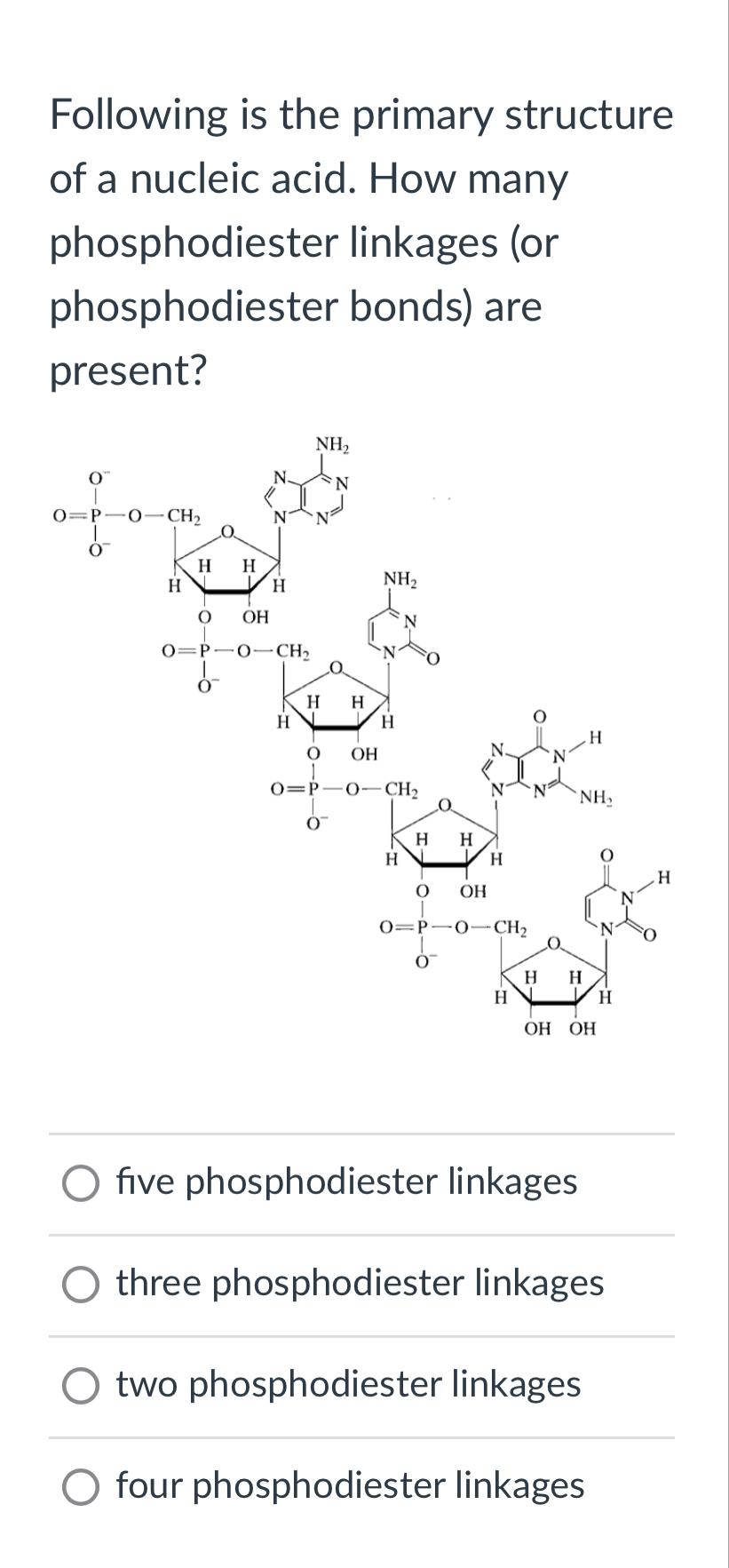 Solved Following is the primary structure of a nucleic acid.