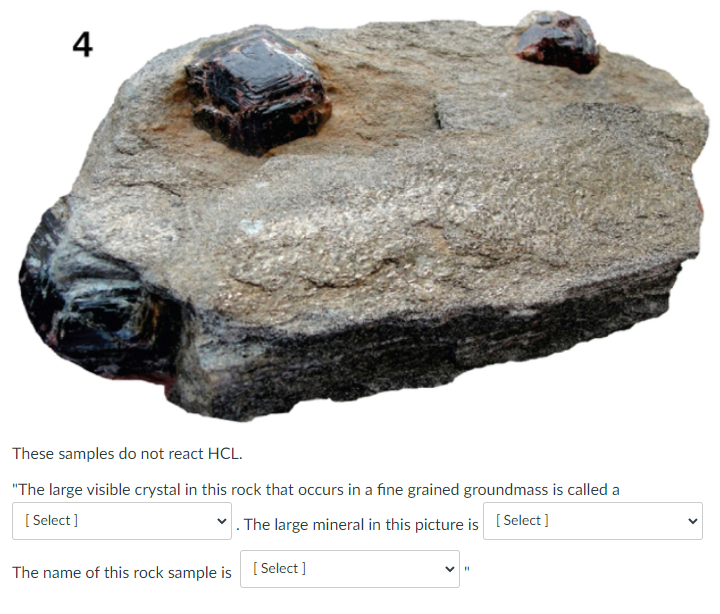 Solved 4 These samples do not react HCL. 