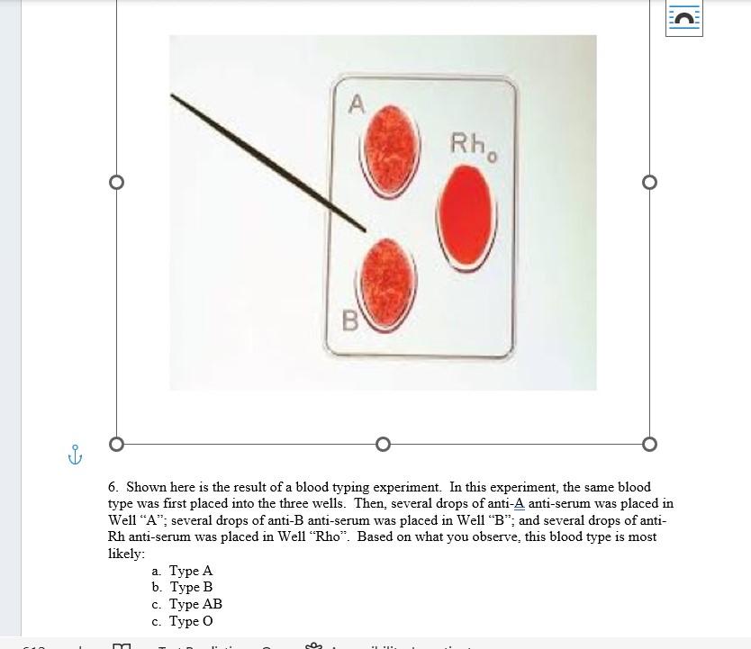 Solved 6. Shown here is the result of a blood typing