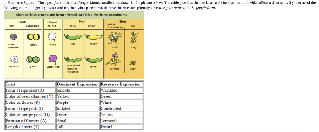 Solved 3. Punnett's Square. The 7 pea plant traits that | Chegg.com