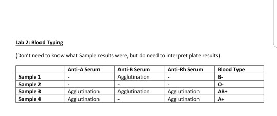 Abo Rh Simulated Blood Typing Worksheet Answers - worksheet