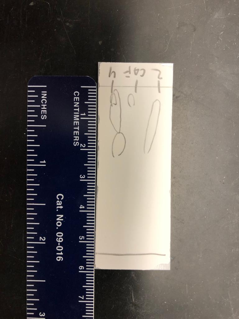 Solved Could anyone please help me calculate the Rf value of | Chegg.com