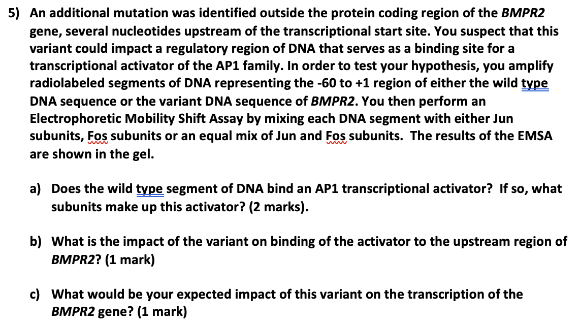 Solved 5) An additional mutation was identified outside the | Chegg.com