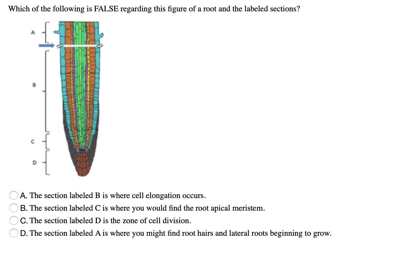 Which Of The Following Is False Regarding This Figure Chegg Com