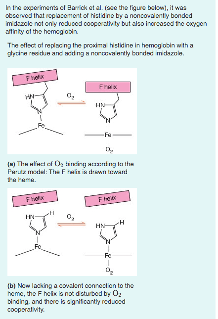 In the experiments of Barrick et al. (see the figure | Chegg.com