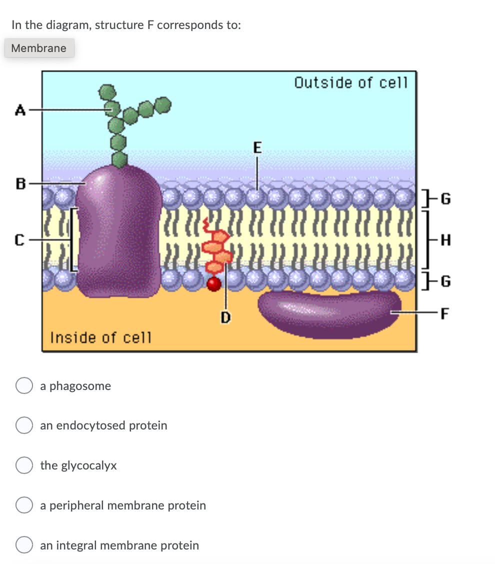 Solved Which Of The Following Statements Is Correct | Chegg.com
