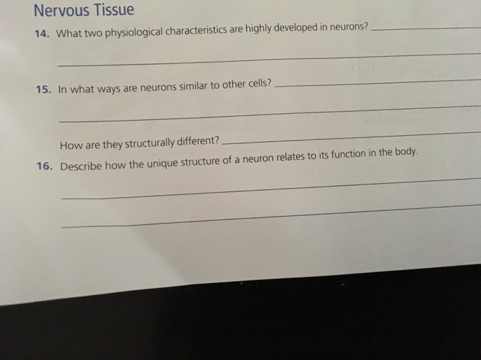 What Two Physiological Characteristics Are Highly Developed In Neurons
