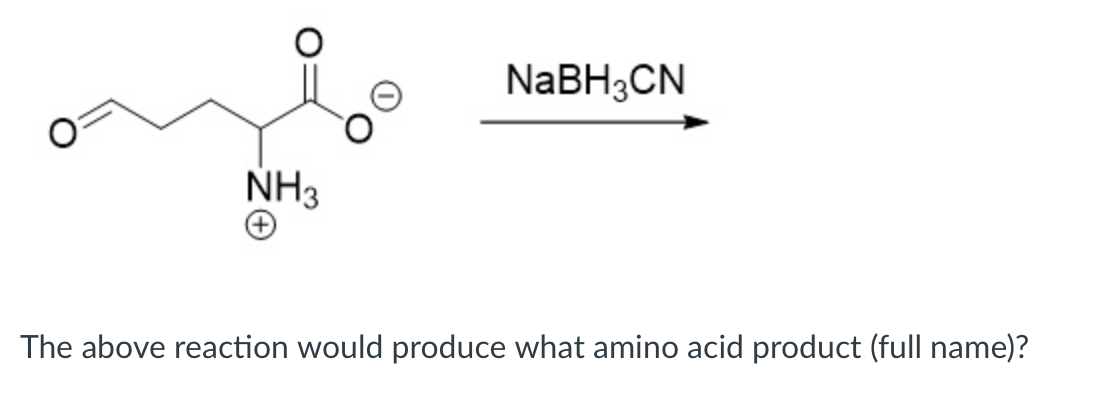 Solved NaBH3CN NH3 The above reaction would produce what | Chegg.com