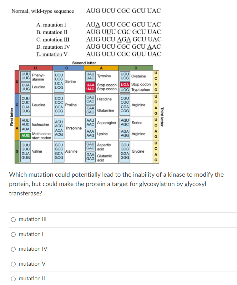 Solved Which mutation would have no effect on the structure | Chegg.com