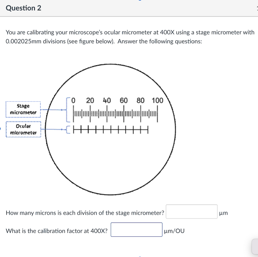 Solved You are calibrating your microscope's ocular