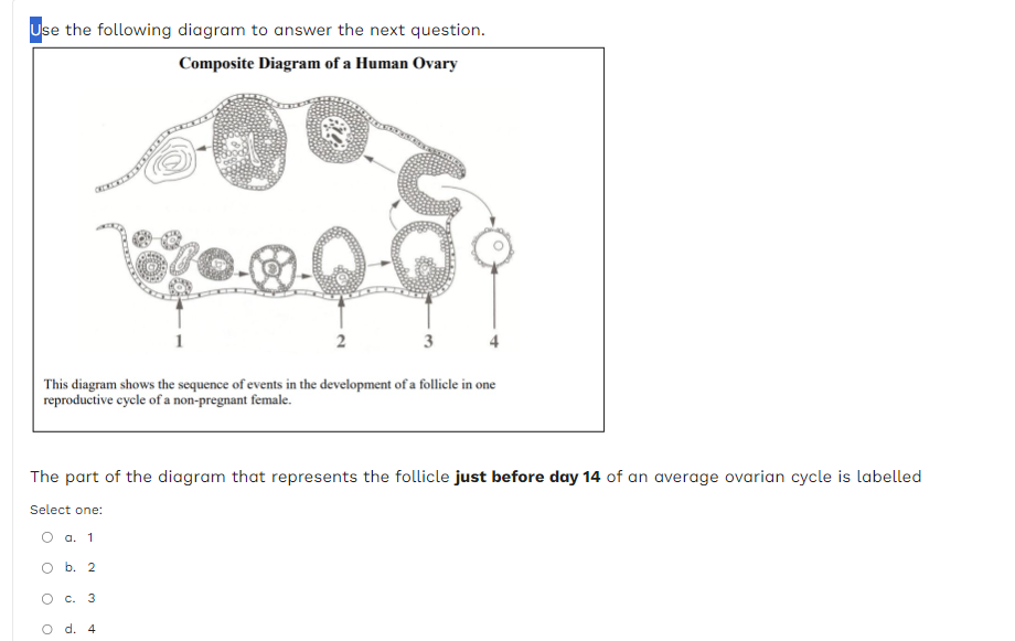 Solved Use the following diagram to answer the next | Chegg.com