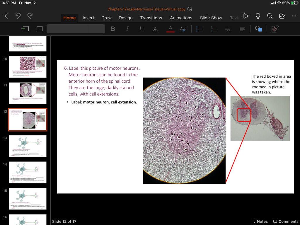 Solved 3:28 PM Fri Nov 12 1959%C4 | Chegg.com