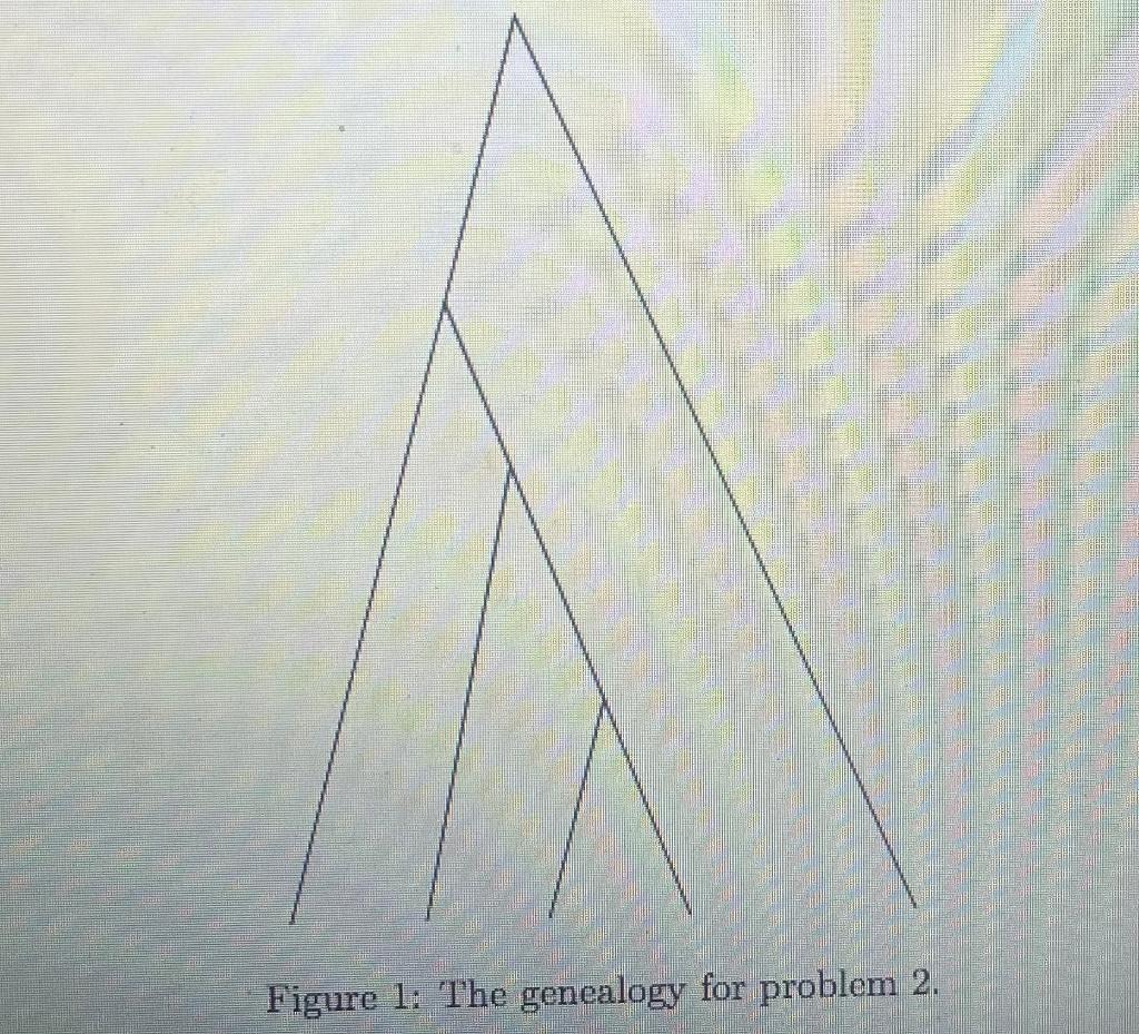 Solved How would you expect these trees to differ in terms | Chegg.com